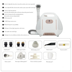 BALASHOV: Deep Clean Any Surface with Steam Power
