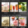 BALASHOV 2000W Heavy Duty Blender: Smoothies, Juices & More