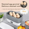 BALASHOV 2-Layer Electric Lunch Box: Warm & Leakproof for Travel & ...