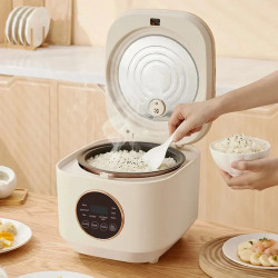 BALASHOV Smart Rice Cooker - 5L, Multifunction & Portable