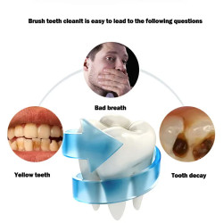 BALASHOV Sonic U-Type Toothbrush: 360 Cleaning & Whitening