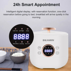 BALASHOV 2L Smart Rice Cooker: Quick & Easy Meals