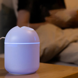 BALASHOV 250ml Portable Humidifier & Diffuser - USB LED Aroma Mist ...