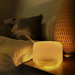 BALASHOV Ultrasonic Humidifier with Aroma & Night Light