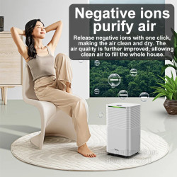 MIDEA Electric Dehumidifier: Quiet & Powerful Moisture Removal