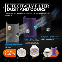 MIUI H13 HEPA Filter: Clean Air, Pure Comfort
