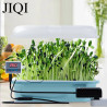 JIQI Seed Germination Box: Constant Temp for Success