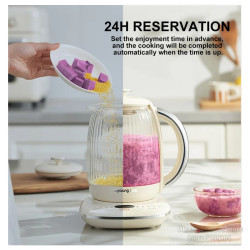 JOYOUNG WY166 Electric Kettle: Boil Water & More