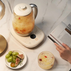 JOYOUNG WY166 Electric Kettle: Boil Water & More