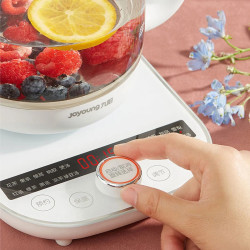 JOYOUNG Electric Kettle & Health Pot - Stew, Soup, Porridge, Tea