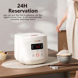 JOYOUNG 2L Mini Rice Cooker: Perfect for 1-3 People, Soup & More!