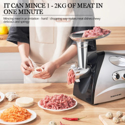SUNATUR 700W Electric Grinder & Chopper: Meat Mincing, Sausage Making